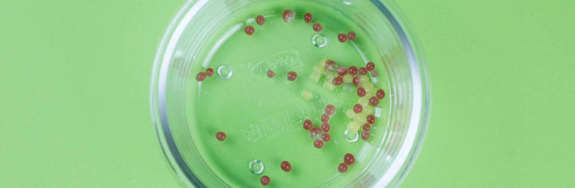 perles-de-jus