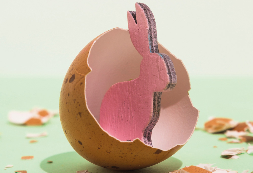 chasse aux oeufs