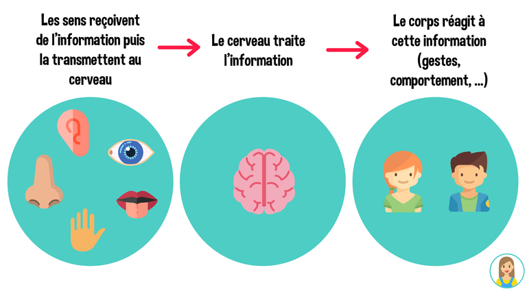 intégration sensorielle