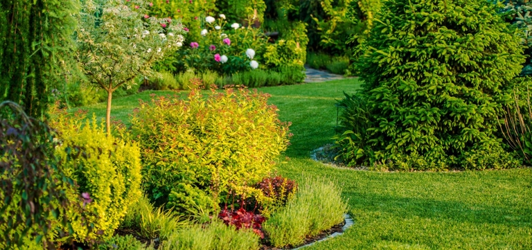 jardin pour une chasse au trésor