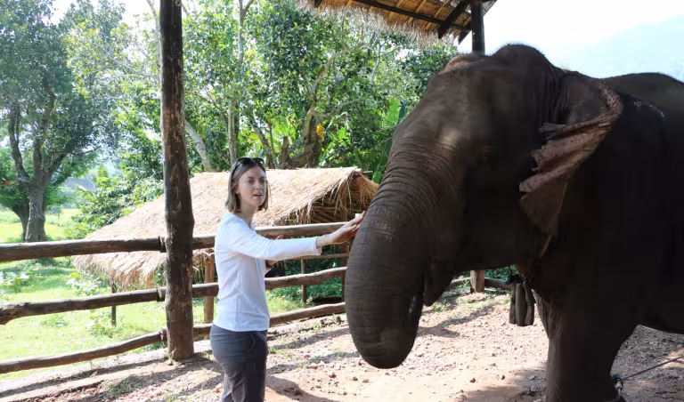 tatiana créatrice du site les parents créatifs