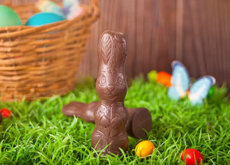 lapin de pâques pour une chasse aux oeufs