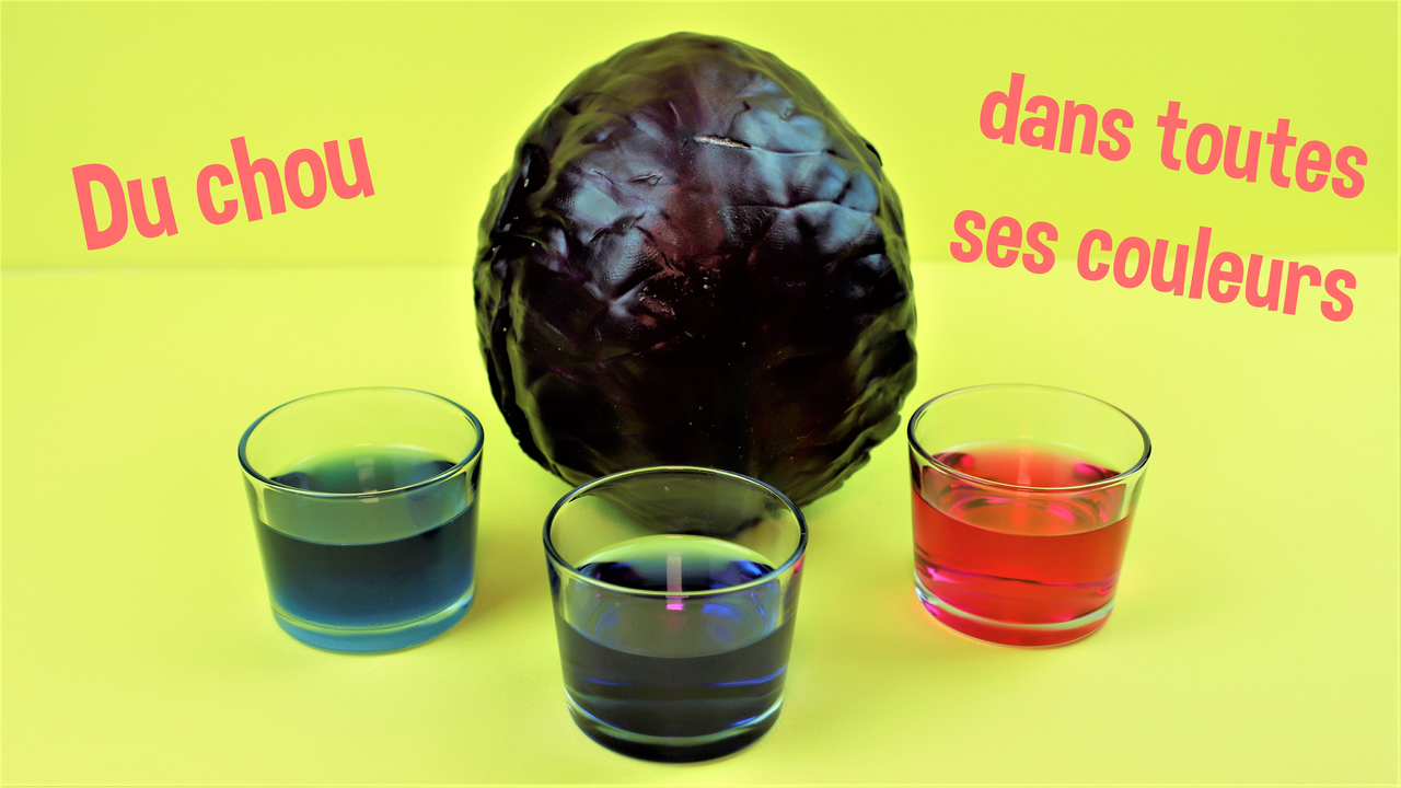recette de chou rouge pour une activité pour les enfants